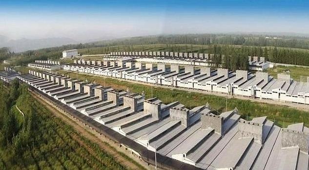 哪有饲料经销商,养殖户亲测三招,避开中间商赚差价