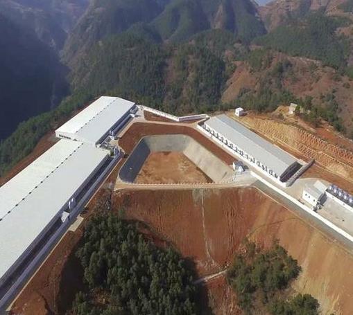 藁城区生猪价格 石家庄生猪今日价格