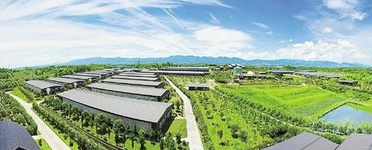 今日全国玉米走势图 玉米价格会如何变化?