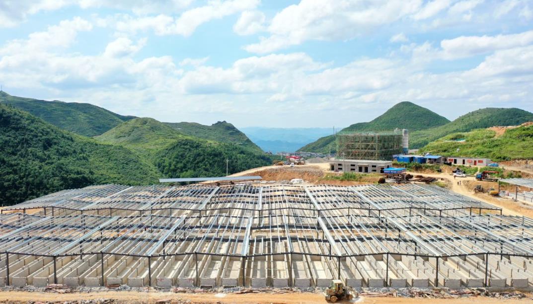 现在土猪啥价钱?2025年4月真实行情大起底