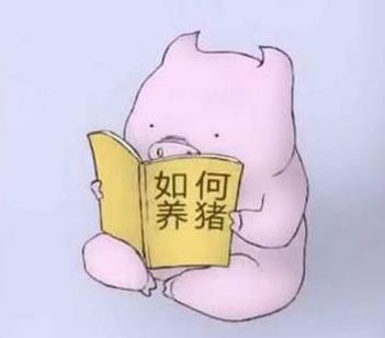 猪价天下网app下载 猪天下网大猪价