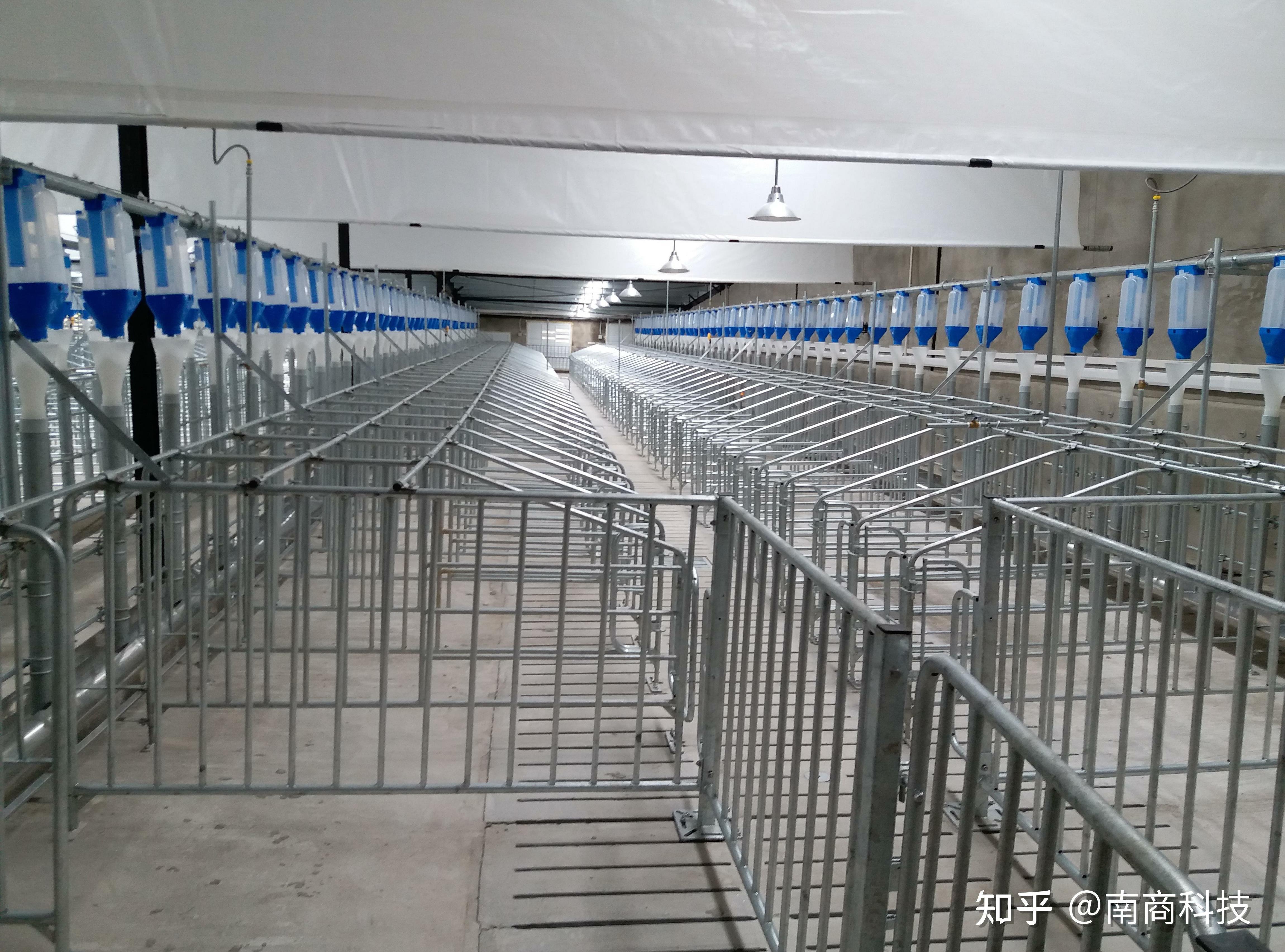 大中饲料怎么样?养殖户必看3大核心技术省30%成本