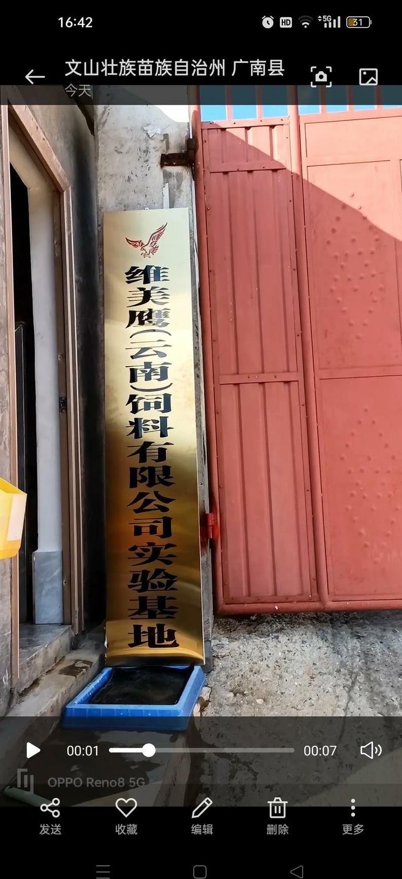 泗县生猪现在啥价?买肉总被坑?老手教你省15%攻略