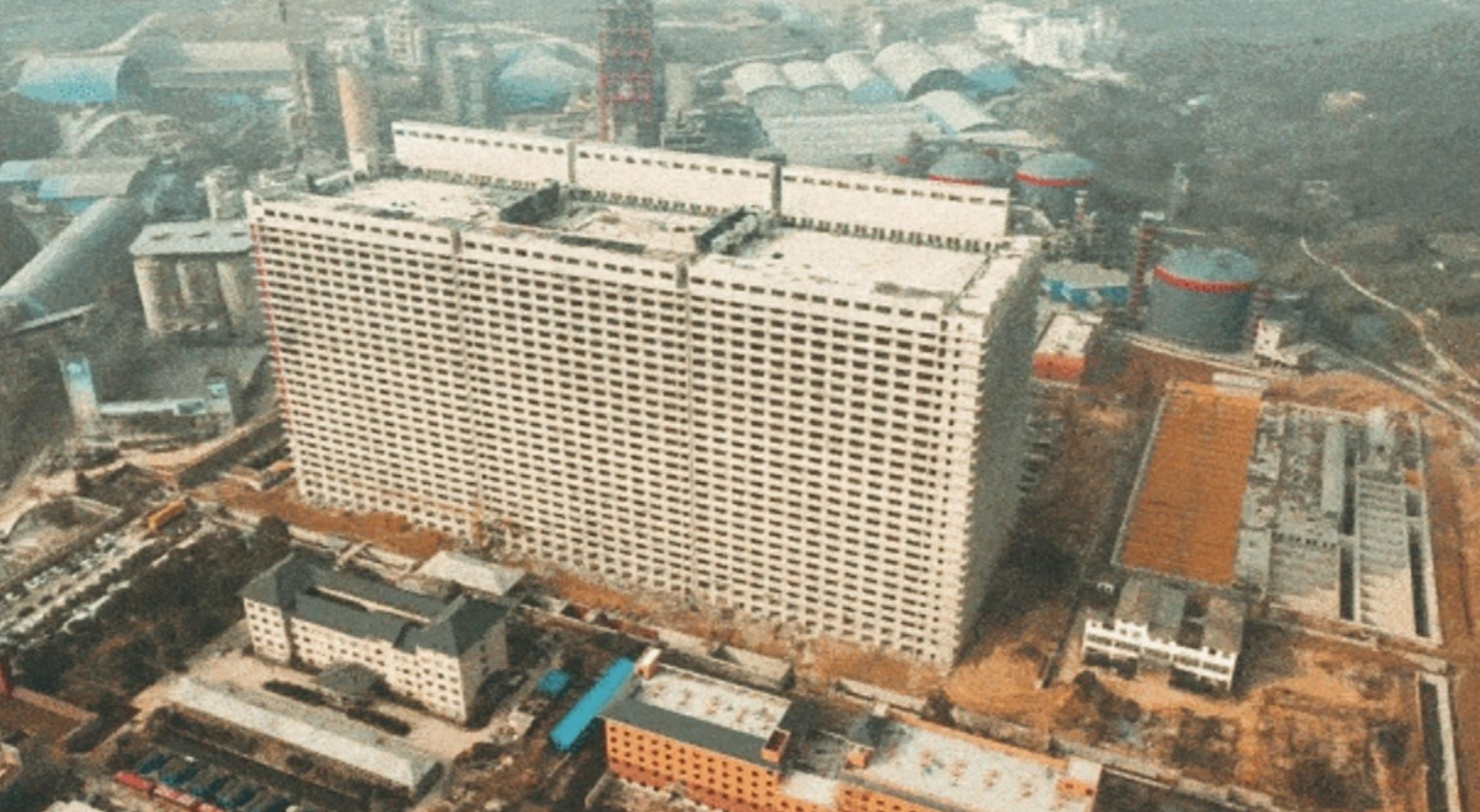 明年猪价是涨是跌?关键因素全解析,养殖户必看攻略
