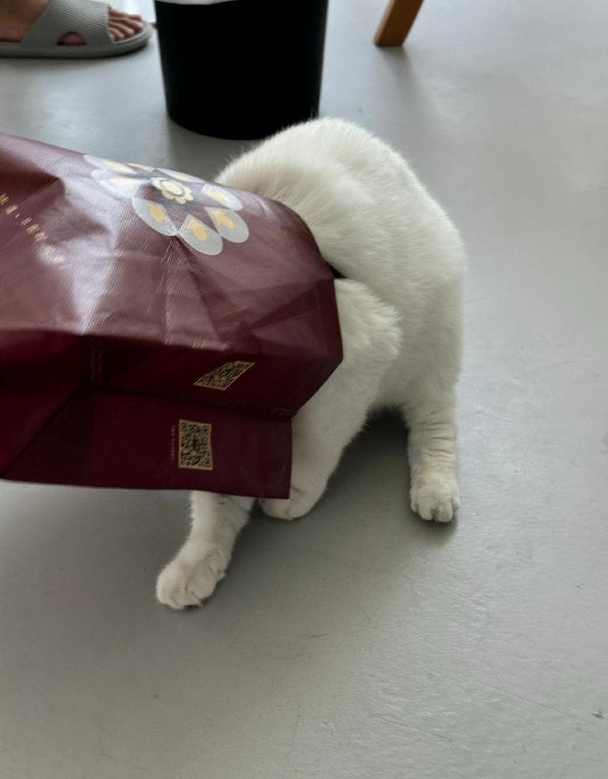 明天猪价7月18日是多少钱一斤 猪价波动对市场的影响有多大?