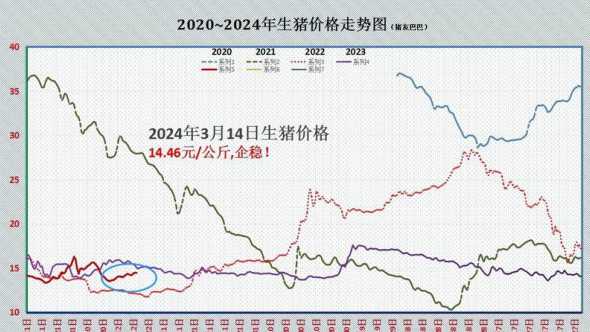 临沂最近猪价趋势 最近猪价已经形成了反弹趋势,猪肉又要涨到30元一斤了