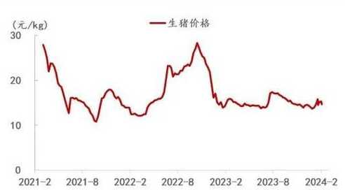 今年的猪肉走势图 2024年l月1日全国生猪价格走势图