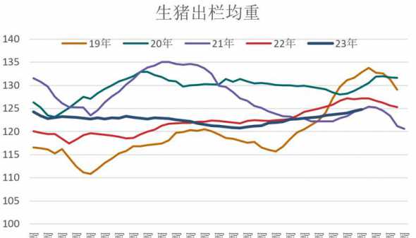 牧原仔猪出栏比例 牧原公司仔猪拉稀怎样治疗