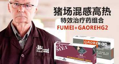 浙江大飞龙猪饲料 浙江大飞龙动物保健品有限公司公司发展