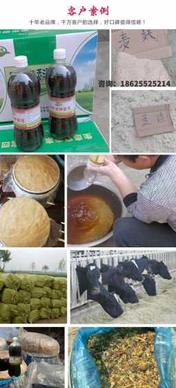 玉米豆渣发酵饲料 豆腐渣怎样发酵做饲料
