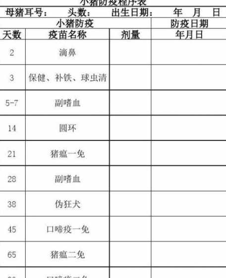 仔猪出生后防疫表 小猪仔出生3天就死亡