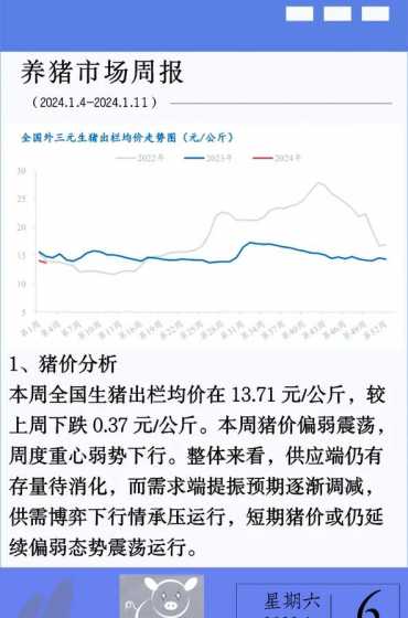 仔猪什么时间出栏 小猪什么时候去势最佳