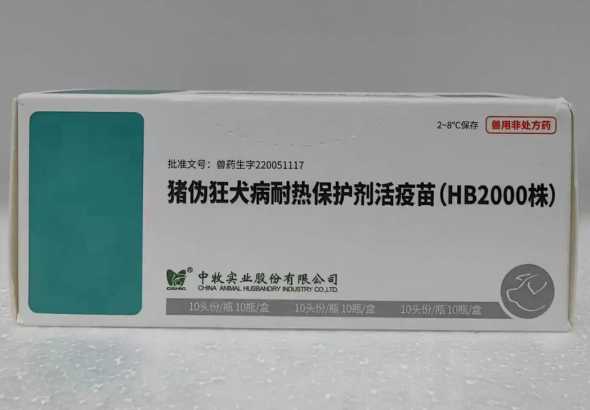 仔猪伪狂犬必打吗 仔猪必打疫苗 新生仔猪伪狂犬怎么治疗