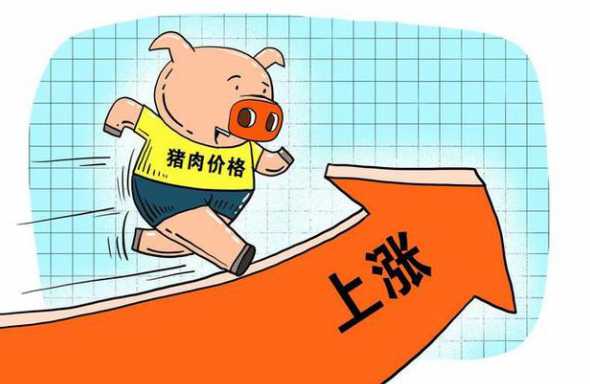 猪价还回声不回升 全国猪价持续回升,究竟是什么原因