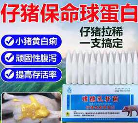 简单治小猪仔拉痢 小猪仔拉白稀屎要不要紧,该怎么办