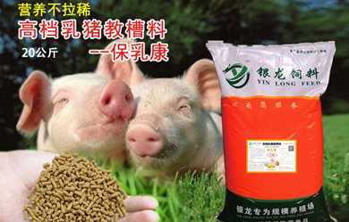 广东二十强猪饲料 求广东方言(白话词汇)