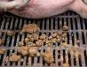 母猪饲料磨的太细 ,母猪饲料用多大的锣底粉碎