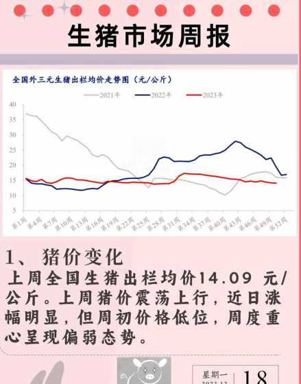 猪目前的市场价格 目前,市场上猪肉的行情如何