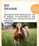 猪饲料中豆粕作用 做为猪饲料来说豆渣和豆粕的营养一样嘛