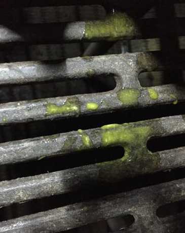 仔猪拉稀黑色水状 仔猪肚皮内部有紫黑色点而且发烧有拉稀症状是啥病