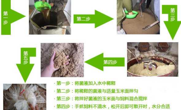 泛酸在饲料的作用 泛酸是什么