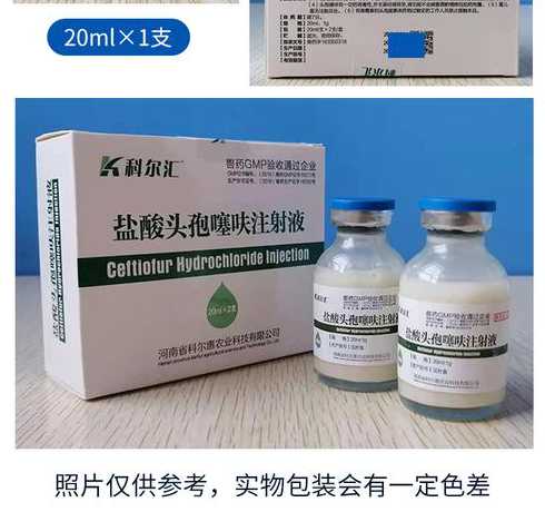 仔猪喘气打什么针 仔猪脑瘫打什么针好