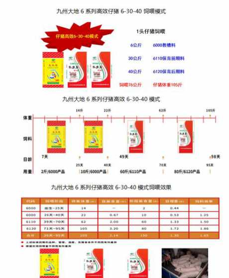 柠檬酸猪饲料应用 一水柠檬酸的作用和用途猪用