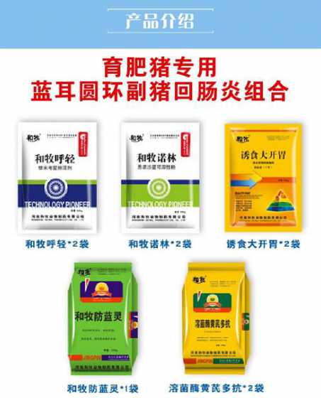 蓝大猪饲料怎么样 牧草打浆后喂猪效果怎么样饲料加多少