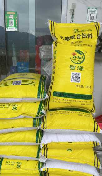 小麦型猪饲料品牌 猪饲料小麦代替玉米的配方 猪饲料的饲喂方法
