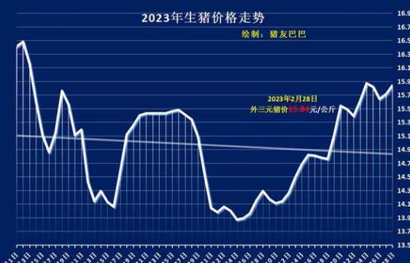 贵州猪的价格走势 全国今日猪价多少