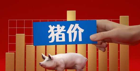 大猪价格云南曲靖 云南曲靖的经济状况怎么样