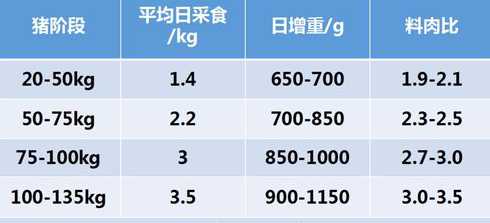 猪采食饲料的特点 猪的采食行为有何特点