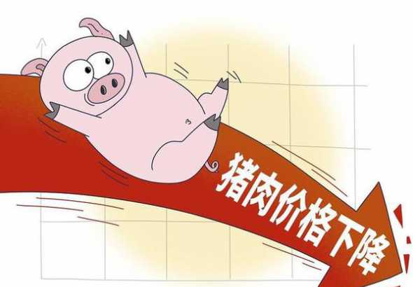 如何应对猪价下跌 猪价低迷如何应对
