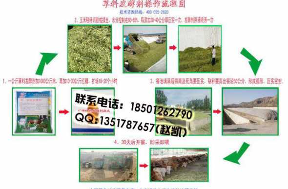 秸秆如何发酵饲料 生物EM菌发酵牧草秸秆饲料方法要点有哪些