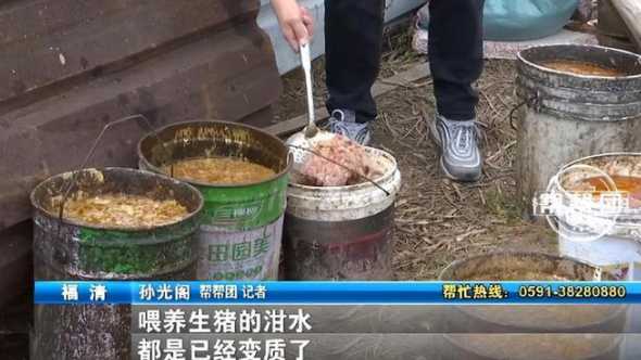 生猪整治污水干净 乡村环境卫生整治实施方案5篇