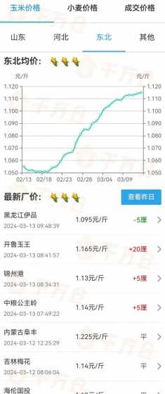 玉米价格饲料价格 玉米价格多少钱一斤今日玉米价格表