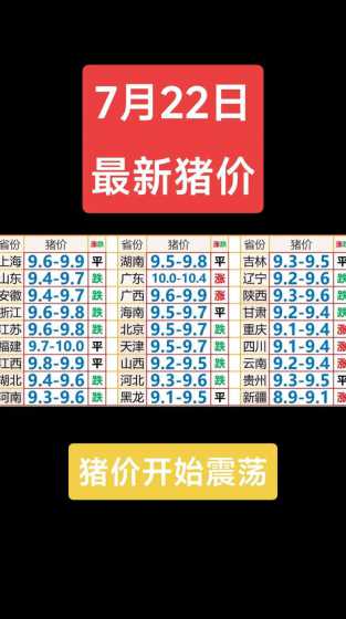 邵阳的猪最近猪价 今年下半年的猪价怎么样