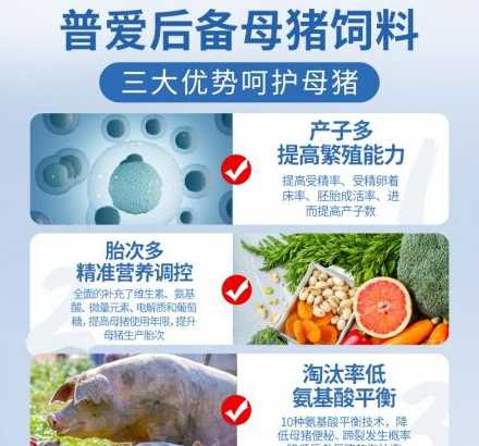 母猪饲料用温水吗 母猪饲料怎么喂