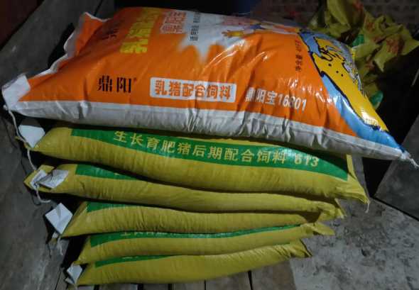 生态养猪什么饲料 养猪的饲料要哪些