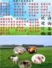 土霉素饲料添加量 畜用土霉素用量10000单位什么意思