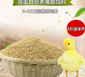 陕西哪里有鹅饲料 洛阳哪里有卖鹅饲料的