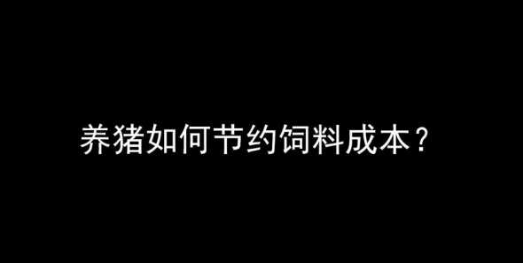 节约养猪饲料成本 如何降低养猪饲料成本