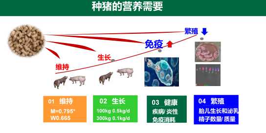 仔猪能用维生素吗 亚硒酸钠维生素e兽药孕畜可用吗