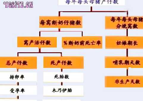 仔猪产仔数低原因 为什么母猪产仔数少,母猪产仔少的原因有哪些