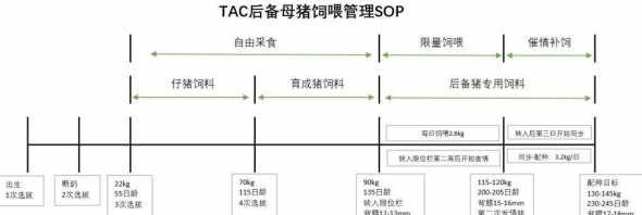 猪饲料的饲喂阶段 育肥猪饲料喂养方法