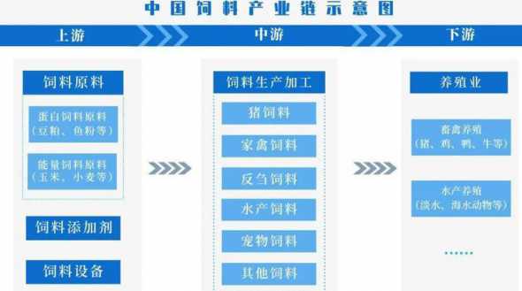 我国粮食用于饲料 我国的七大粮食作物有哪些