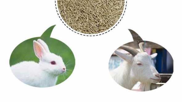 什么是生物质饲料 一套生物质颗粒机大概多少钱
