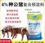 种公猪用什么饲料 种公猪饲料有什么特殊要求