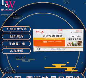 恩诺沙星仔猪保健 刚出生的小猪如何保健