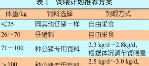 种公猪饲料每天量 猪每天吃多少饲料表